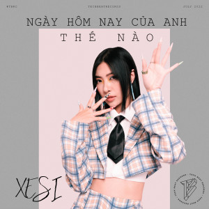Album Ngày Hôm Nay Của Anh Thế Nào from Xesi
