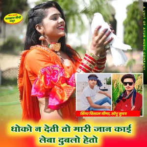 收聽Vishal Meena的Dhoko N Deti To Mari Jaan Kai Leba Dublo Heto歌詞歌曲