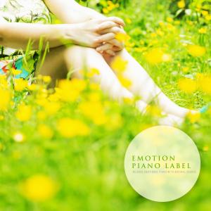 Various Artists的专辑Relaxed Emotional Piano With Natural Sounds (Nature Ver.)