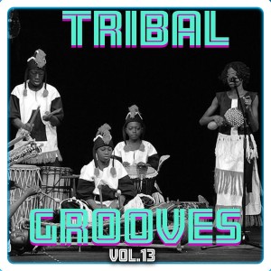 Tribal Grooves Vol. 13