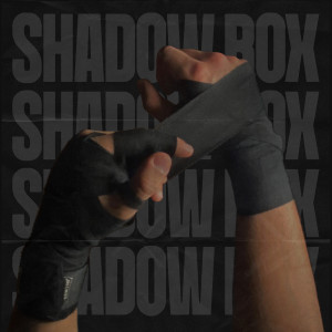 Album Shadow box from Flave
