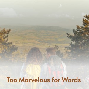 收听Nat King Cole的Too Marvelous for Words歌词歌曲