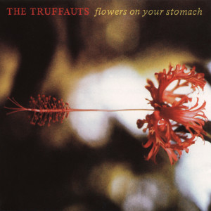 ดาวน์โหลดและฟังเพลง Don' Let Me Disappear พร้อมเนื้อเพลงจาก The Truffles