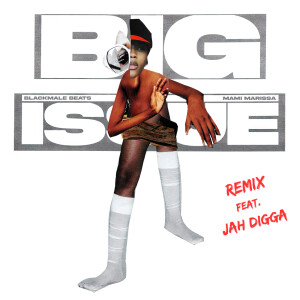 Listen to Big Issue (Remix) song with lyrics from Blackmale Beats