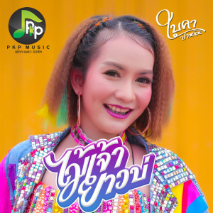 收聽ใบคา ปาหนัน的ไม้เจ้ายาวบ่歌詞歌曲