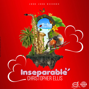 Listen to Inseparable song with lyrics from Christopher Ellis