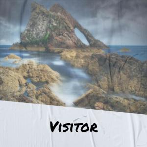 Listen to Visitor song with lyrics from Titin Vich