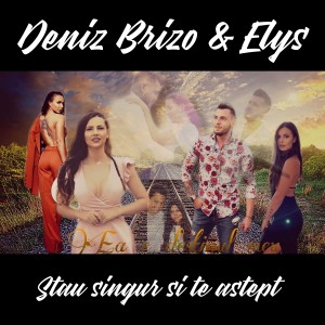 Listen to Stau Singur Si Te Astept song with lyrics from Deniz Brizo