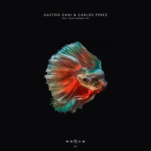 收聽Gaston Zani的Put Your Hands Up歌詞歌曲