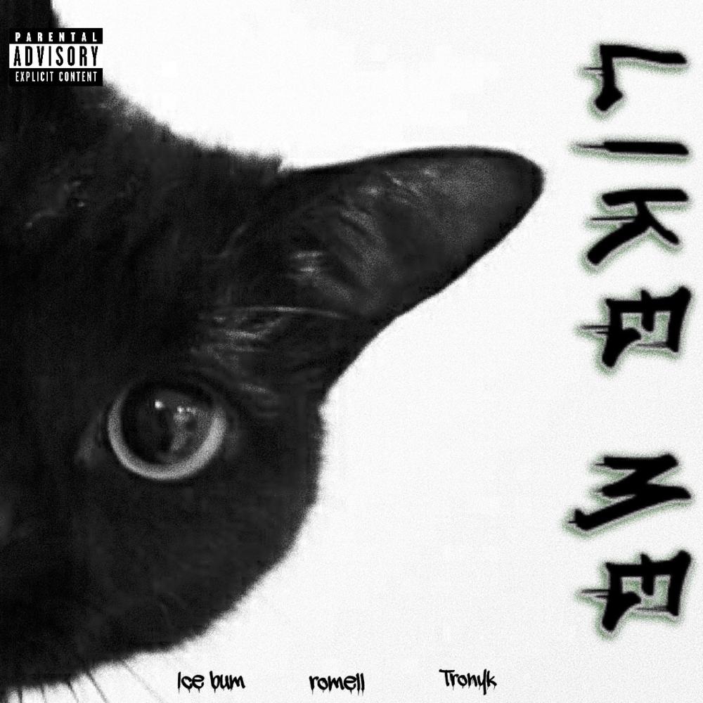 Like Me (feat. romell & tronyk) (Explicit)