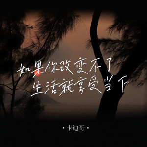 卡迪哥的專輯如果你改變不了生活就享受當下