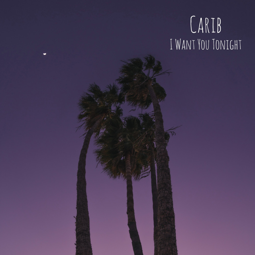 I Want You Tonight