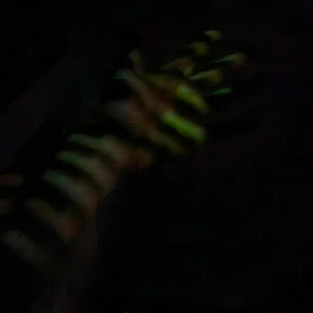 OXYGEN