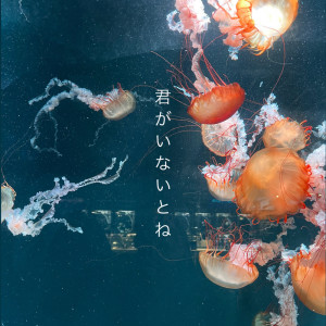 Dengarkan 君がいないとね lagu dari Meïa dengan lirik