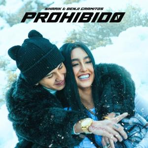收聽Sharik的Prohibido歌詞歌曲