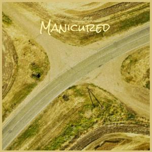 อัลบัม Manicured ศิลปิน Various