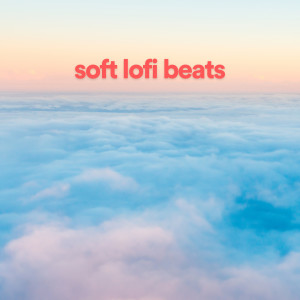 Lofi Sleep Chill & Study的专辑soft lofi beats