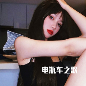 Album 电瓶车之歌 oleh Y2002