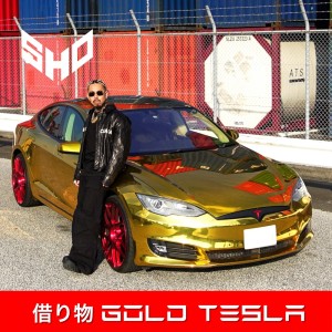 Sho的專輯Rental Gold Tesla