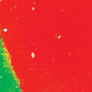 Listen to Every Other Freckle (Daytrip Remix) song with lyrics from Alt-J