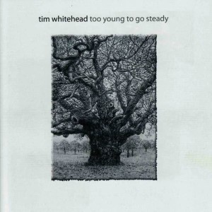 收聽Tim Whitehead的Love Fool歌詞歌曲