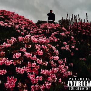 ดาวน์โหลดและฟังเพลง Levanta La Mirada (feat. Valenzuela, LownusDaMasta & LMAbeats) (Explicit) พร้อมเนื้อเพลงจาก Baltazar Vendetta