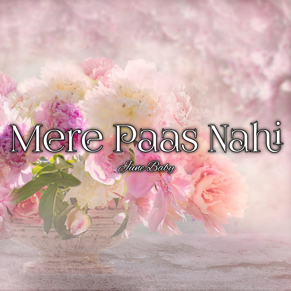 Mere Paas Nahi