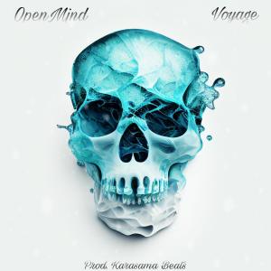 OPENMIND的专辑Chilly (feat. Voyage & Karasama Beats) (Explicit)