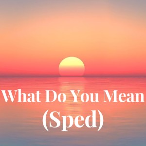 Listen to What Do You Mean (Sped) song with lyrics from Jutin Biber