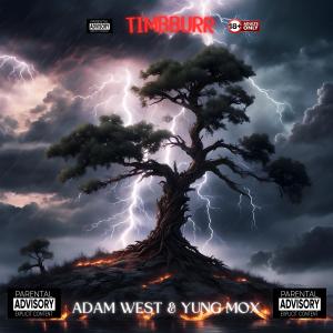 收聽Adam West的TIMBURR (Instrumental)歌詞歌曲