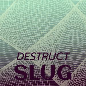 Album Destruct Slug oleh Various Artists