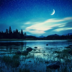 ดาวน์โหลดและฟังเพลง Quiet Night Gentle Rhythms พร้อมเนื้อเพลงจาก Lofi Stranger