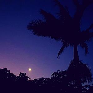 ดาวน์โหลดและฟังเพลง ♫*iridESCEnT✯“> พร้อมเนื้อเพลงจาก HVEN