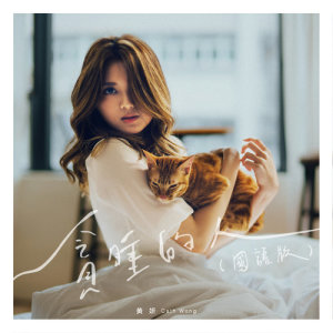 ดาวน์โหลดและฟังเพลง 贪睡的人 (国语版) พร้อมเนื้อเพลงจาก 黄妍
