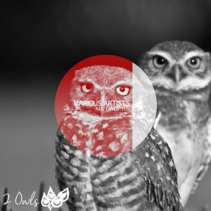 Various Artists的專輯All Owls Ten