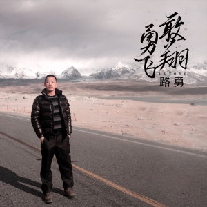 Listen to 勇敢飞翔 (伴奏) song with lyrics from 路勇