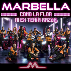 ดาวน์โหลดและฟังเพลง Como La Flor / Mi Ex Tenía Razón พร้อมเนื้อเพลงจาก Orquesta Marbella