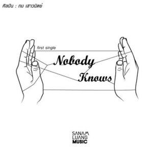 ดาวน์โหลดและฟังเพลง Nobody Knows พร้อมเนื้อเพลงจาก กบ เสาวนิตย์