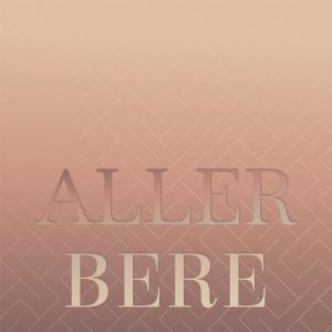 Album Aller Bere from Various