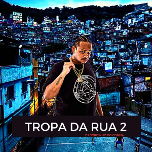 ดาวน์โหลดและฟังเพลง Tropa da Rua 2 พร้อมเนื้อเพลงจาก dj gordinho do confia