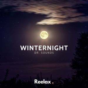 Listen to Winternight song with lyrics from Dr. Sounds