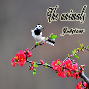 收聽Jutstear的The Animals歌詞歌曲