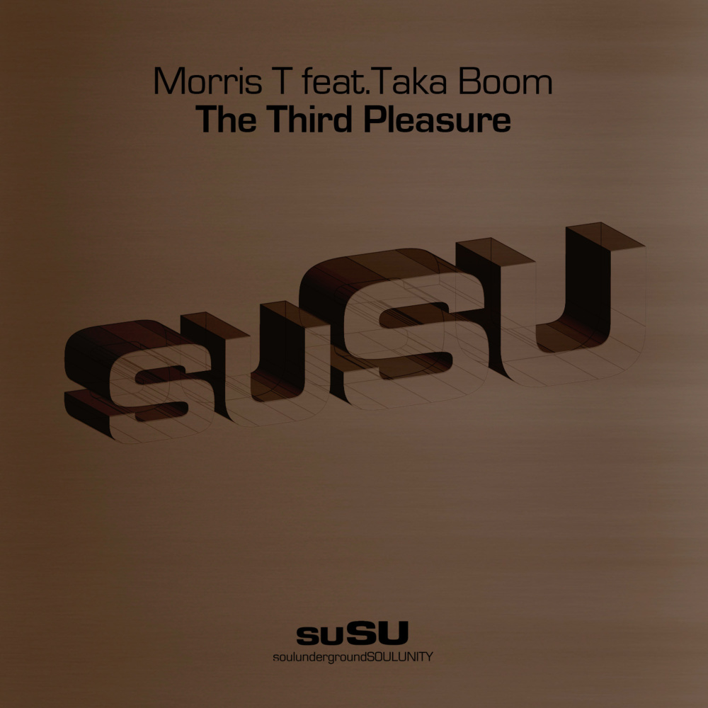 The Third Pleasure (Starchaser Mix)