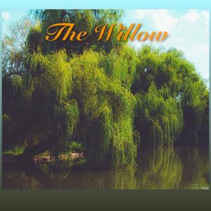 Mike Sanders的專輯The Willow (feat. Aerhalev, Jim Lawlor, Mike Sanders & Phillipe Pansard)