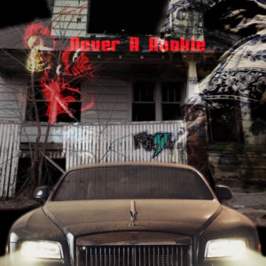 Listen to Never a Rookie (Explicit) song with lyrics from Jay P