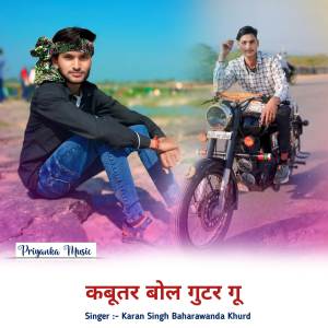 Karan Singh的專輯Kabutar bol guter gu