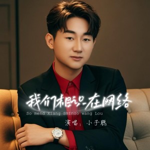Listen to 我们相识在网络 (完整版) song with lyrics from 小子聪