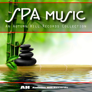 Album Spa Music from Various Artists