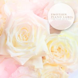 Listen to Non Coincidence song with lyrics from 은하선