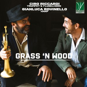 Listen to Il trapezista innamorato song with lyrics from Ciro Riccardi
